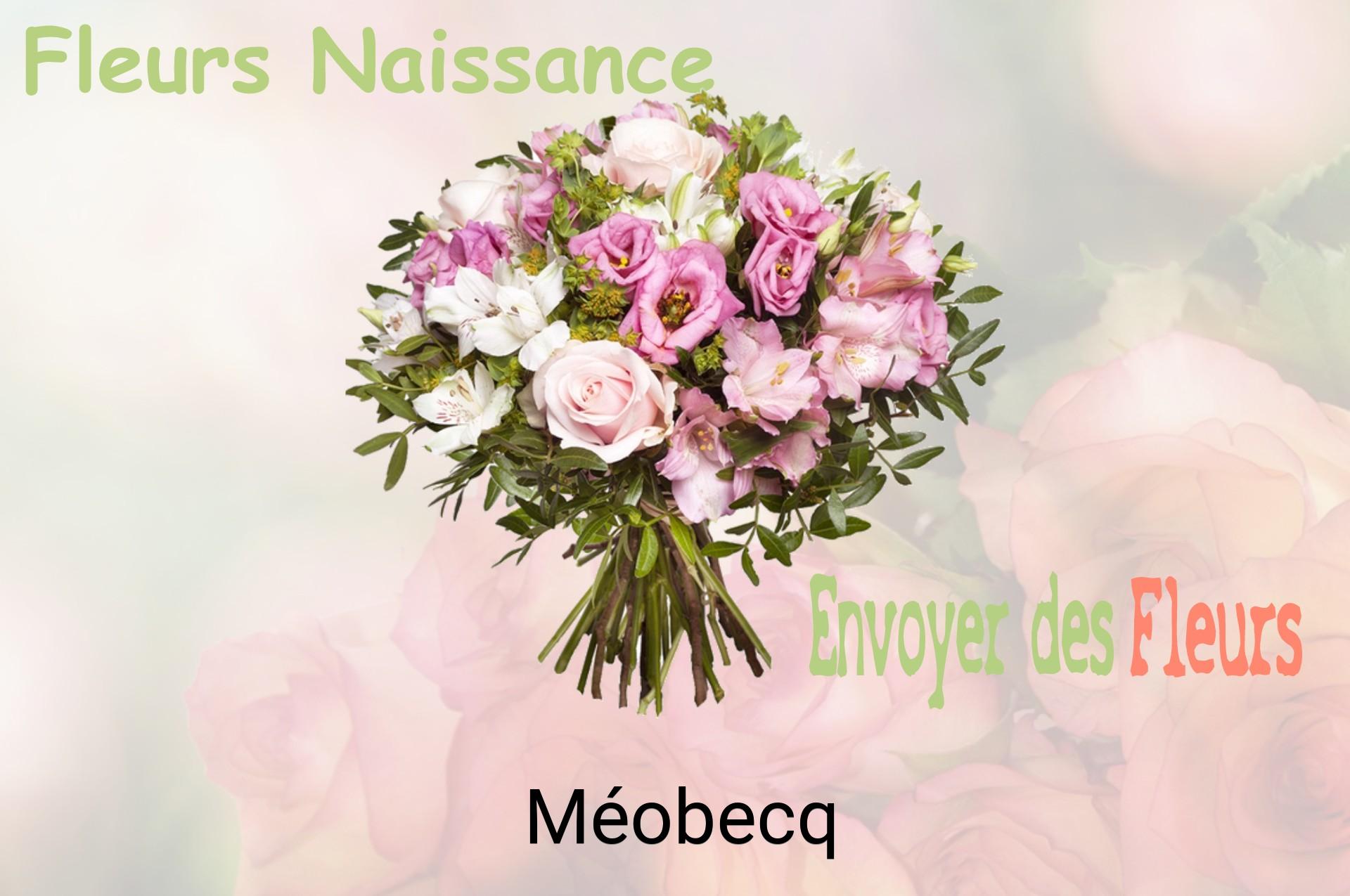 Bouquet de fleurs de naissance livré à Méobecq